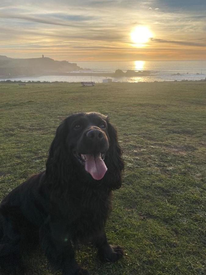 Pentire Coastal Holiday Park Bude Kültér fotó