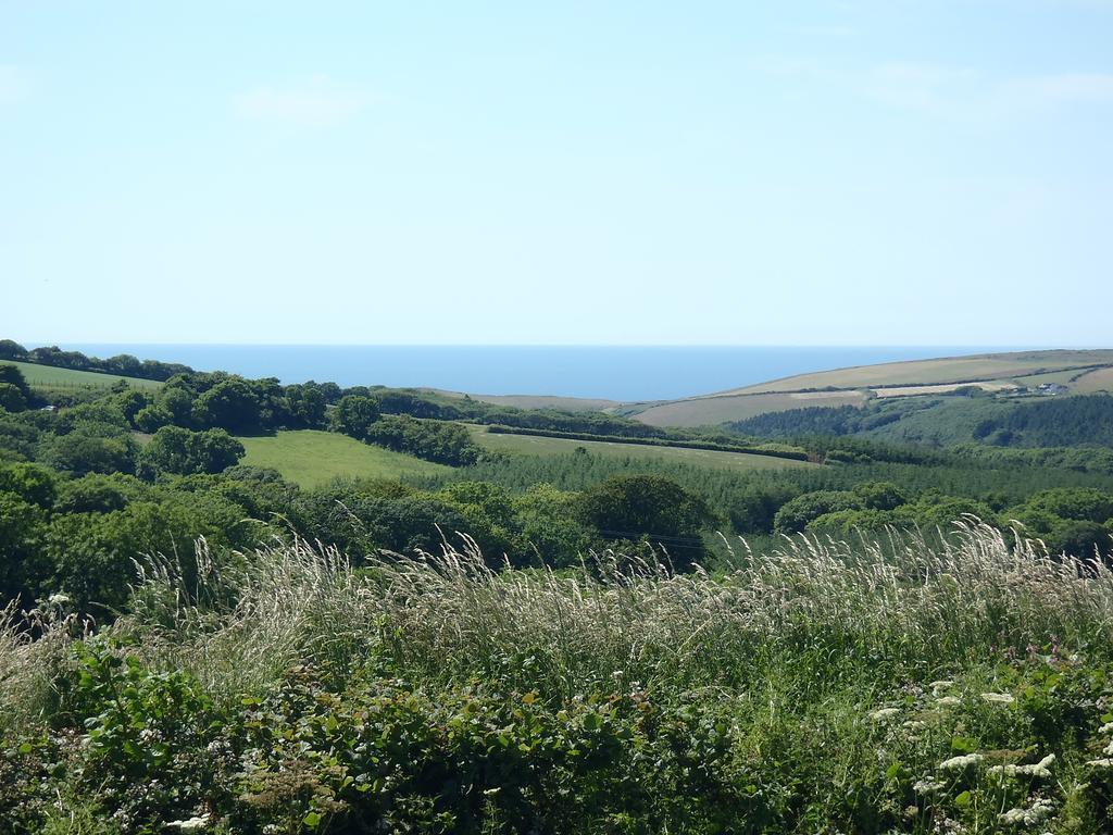 Pentire Coastal Holiday Park Bude Kültér fotó